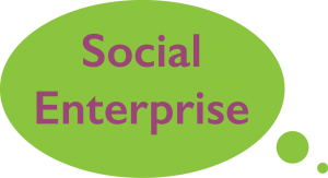 Social-enterprice-icon